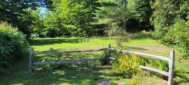 left side yard