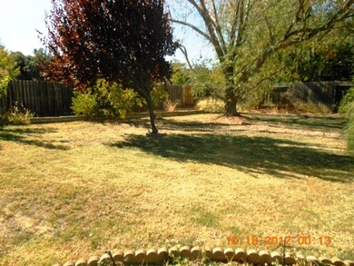 Back Yard a