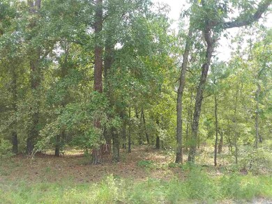 TBD Whispering Woods Rd, Conway, SC 29526 - photo 3