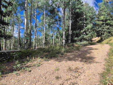 Blk 89 Lots 4-6, Jasper, CO 81144 - photo 5