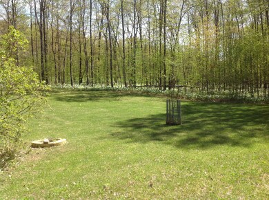 photo 3 (3)