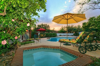 Backyard Oasis