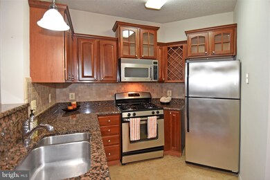 13070 Autumn Woods Way unit 204, Fairfax, VA 22033 - photo 5