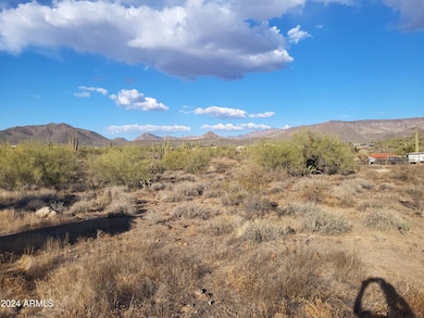 48111 N 7th Ave, New River, AZ 85087 - photo 3