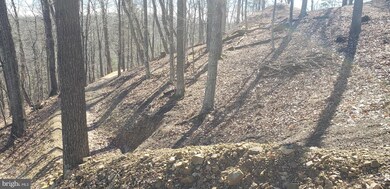 Lots 34 & 35 Aspen Way N, Basye, VA 22810 - photo 3