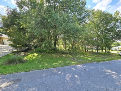 TBD SW 93RD PL, DUNNELLON, FL 34432