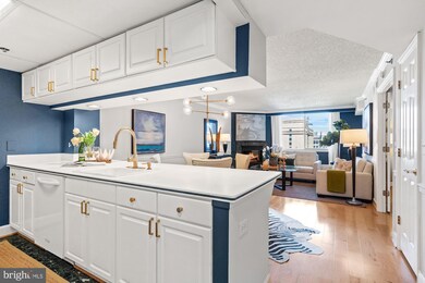 The Williamsburg unit 806, Arlington, VA 22201 - photo 4