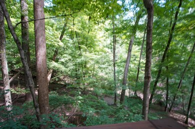 DSC06919