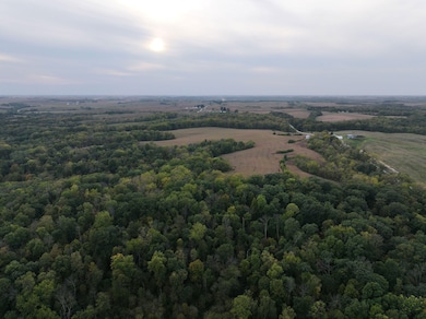 0 Fox Rd, Fayette, IA 52142 - photo 4