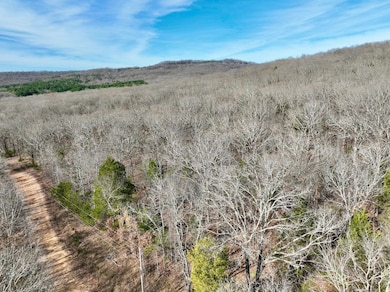 Tbd Old Cabin Rd Lot unit WP001, Winslow, AR 72959 - photo 7