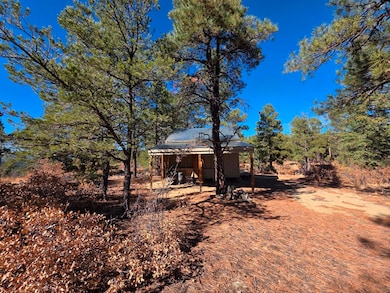 14440 County Rd 28 8 unit 10, Weston, CO 81091 - photo 6