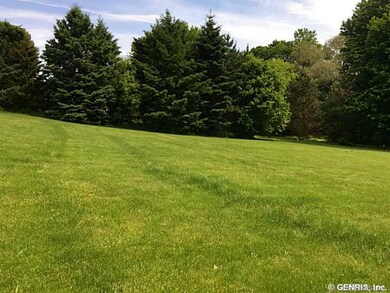 Backyard.