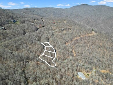 15 Chestnut Village unit 15, Mars Hill, NC 28754 - photo 5