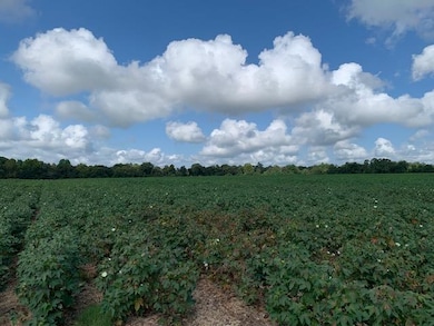 0 N Gordon St, Ashburn, GA 31714 - photo 7