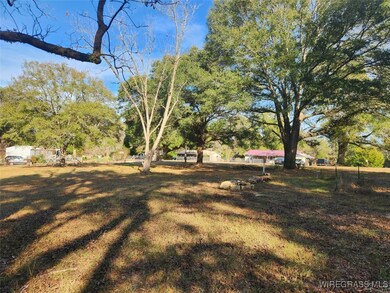 21115 Edwards Rd, Andalusia, AL 36421 - photo 4