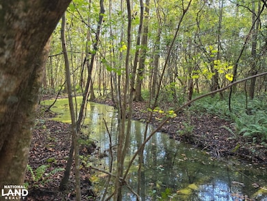 0 Co Rd 10, Samson, AL 36477 - photo 2