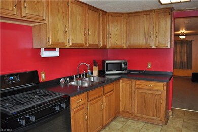 raised panel kitchen cabinets and formica counter 