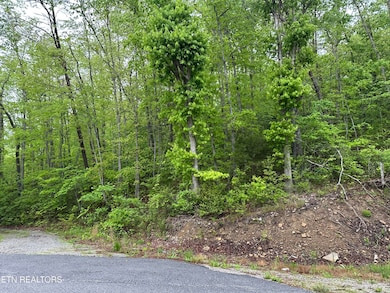 8472 Highway 25 W N, Duff, TN 37729 - photo 2