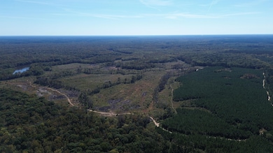 0 Newington Hwy unit 25460796, Sylvania, GA 30467 - photo 5