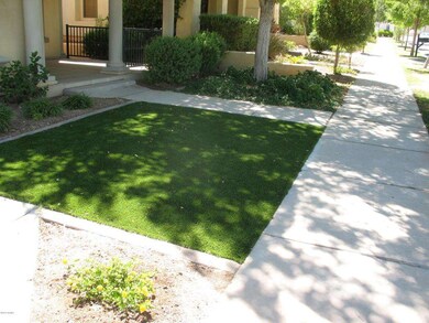 Front Yard