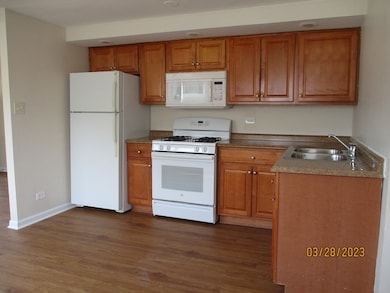 4215 W 87th St unit 2, Hometown, IL 60456 - photo 5