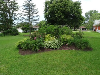 Nicely landscaped back yard