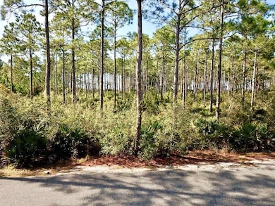 168 Lightning Bug Ln, Saint Teresa, FL 32358 - photo 5