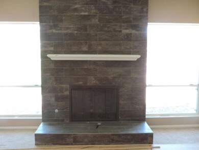 DSCN0508  FIREPLACE