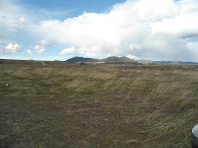 DSC01611