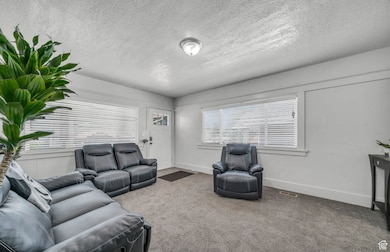 Living area featuring a textured ceiling and carpet flooring