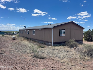 552 W Mclaws Ave, Snowflake, AZ 85937 - photo 3