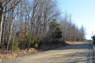 DSC_0011 Road Frontage