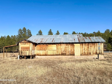 12405 Forest Service 772, Flagstaff, AZ 86001 - photo 5