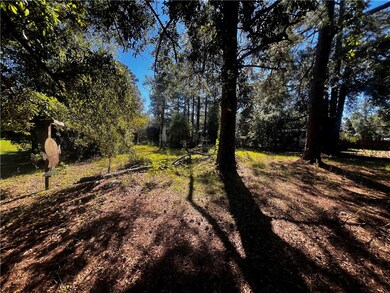 1006 Oglethorpe Ln, Darien, GA 31305 - photo 4