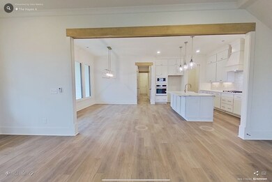 Pics are of another completed Hayes plan. Selections will vary