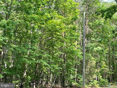 0 Beaver Creek Rd unit VAOR2004940, Orange, VA 22960 - photo 5