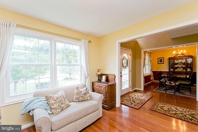 519 Crystal Ln, Strasburg, VA 22657 - photo 7