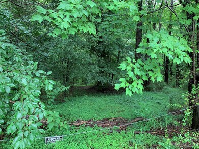 148 Ridgeview Rd, 12 Ridgeview Rd unit 124, Statesville, NC 28625 - photo 3