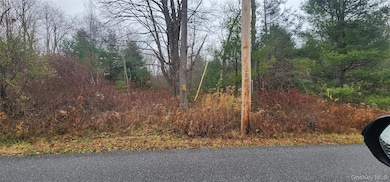 0 Thompsonville Rd, Thompson, NY 12701 - photo 4