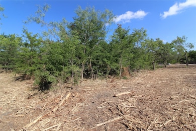 TBD Farm To Market Road 2860, Kemp, TX 75143 - photo 4