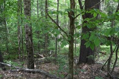 0 Pearl Lake Rd unit 6 4865405, Lisbon, NH 03585 - photo 2