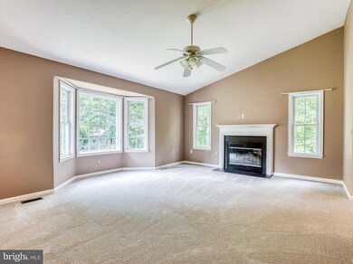 396 Persimmon Pear Ln, Harpers Ferry, WV 25425 - photo 6