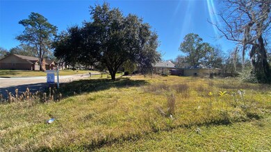 5410 Appleblossom Ln, Friendswood, TX 77546 - photo 3