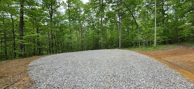 CT-2