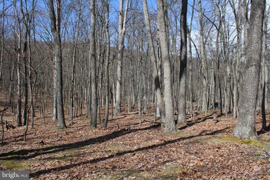 6.11 AC Sideling Mountain Trail, Great Cacapon, WV 25422 - photo 3