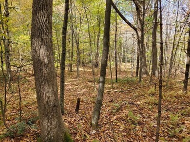 RR Stickney Hill Rd, Union, CT 06076 - photo 6