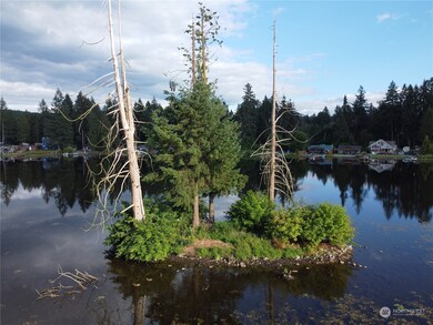 1 Island @ Lake Whitman, Graham, WA 98338 - photo 2