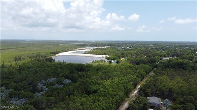 5499 Easy St, Pine Island Center, FL 33922 - photo 7