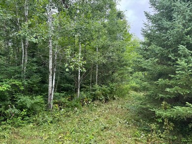 W4514 Cth C, Merrill, WI 54452 - photo 5