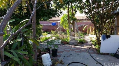 Back yard (right side)